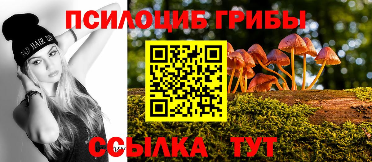Узловая  Псилоцибиновые грибы Cubensis  Псилоцибиновые грибы Magic Shrooms  Вход с VPN 